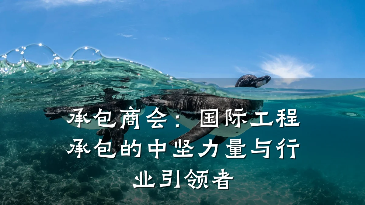 承包商会:国际工程承包的中坚力量与行业引领者