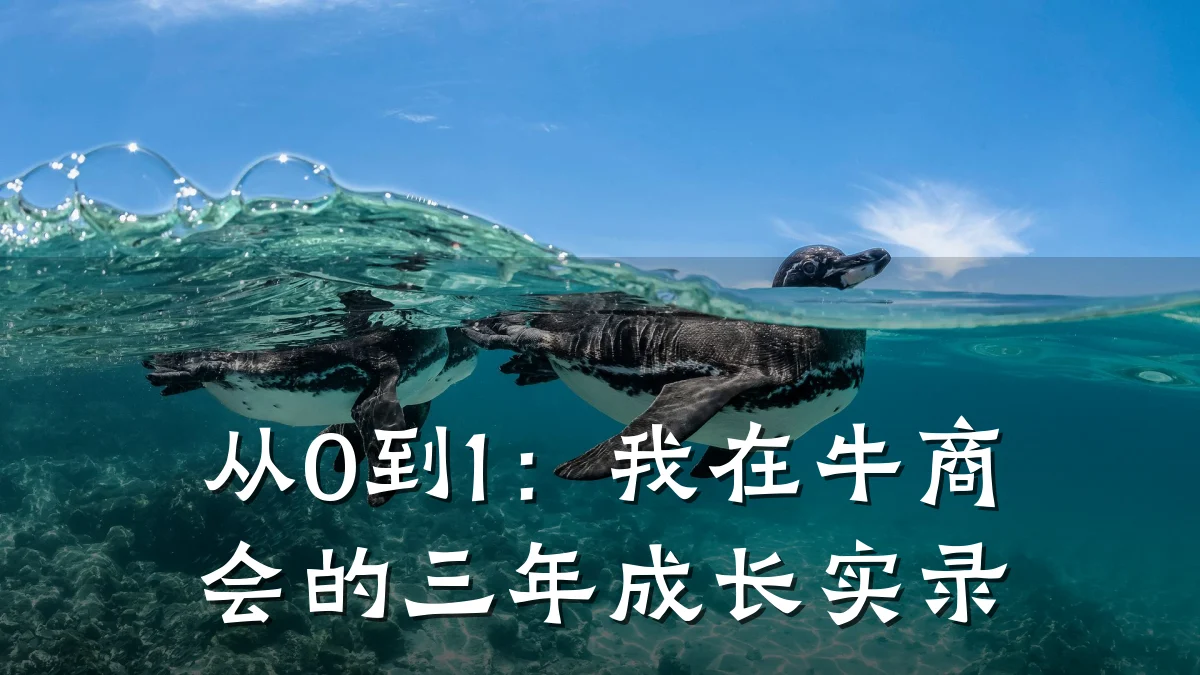 从0到1：我在牛商会的三年成长实录