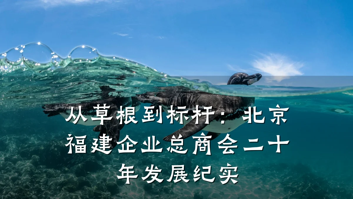 从草根到标杆:北京福建企业总商会二十年发展纪实