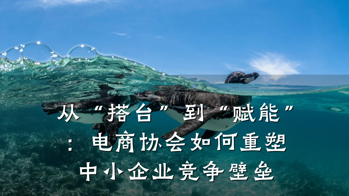 从“搭台”到“赋能”：电商协会如何重塑中小企业竞争壁垒