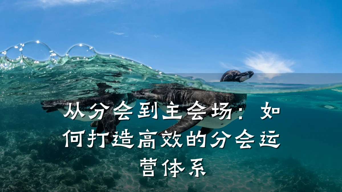 从分会到主会场:如何打造高效的分会运营体系
