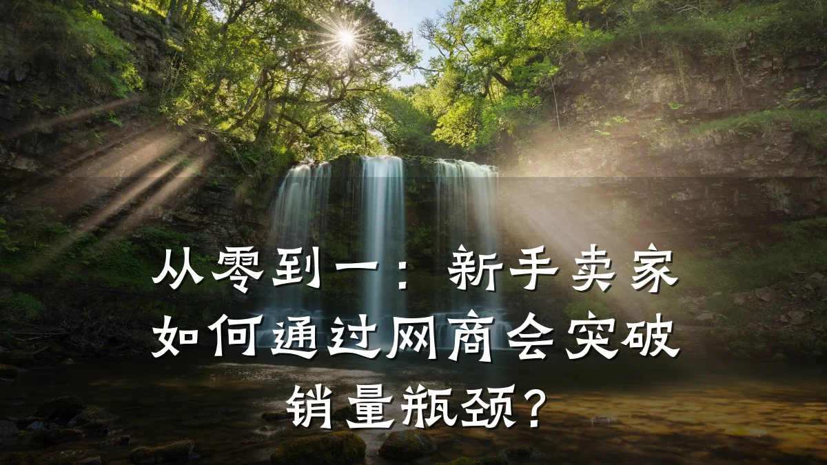 从零到一：新手卖家如何通过网商会突破销量瓶颈？