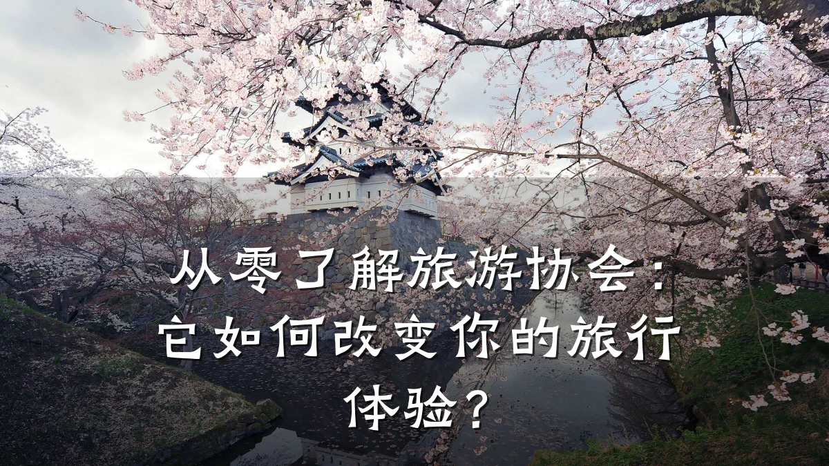 从零了解旅游协会:它如何改变你的旅行体验?