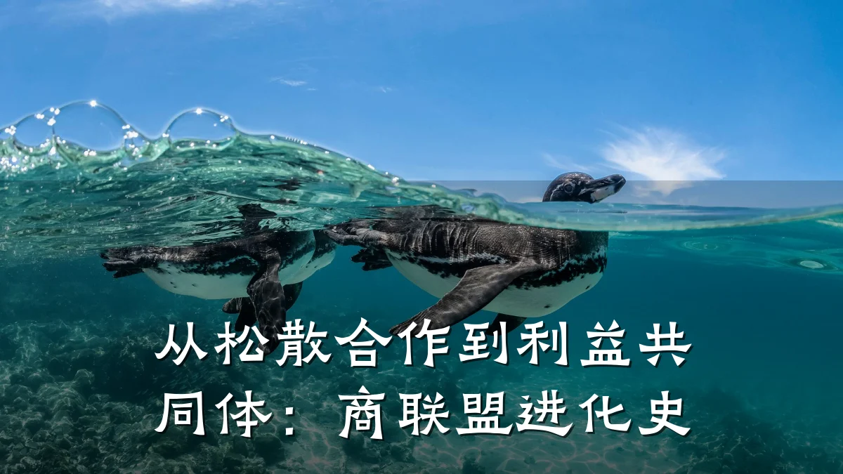 从松散合作到利益共同体:商联盟进化史