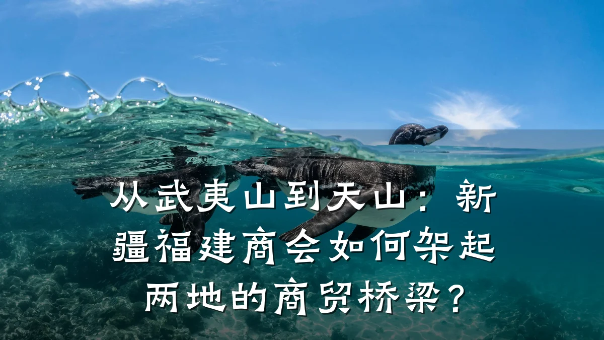 从武夷山到天山:新疆福建商会如何架起两地的商贸桥梁?