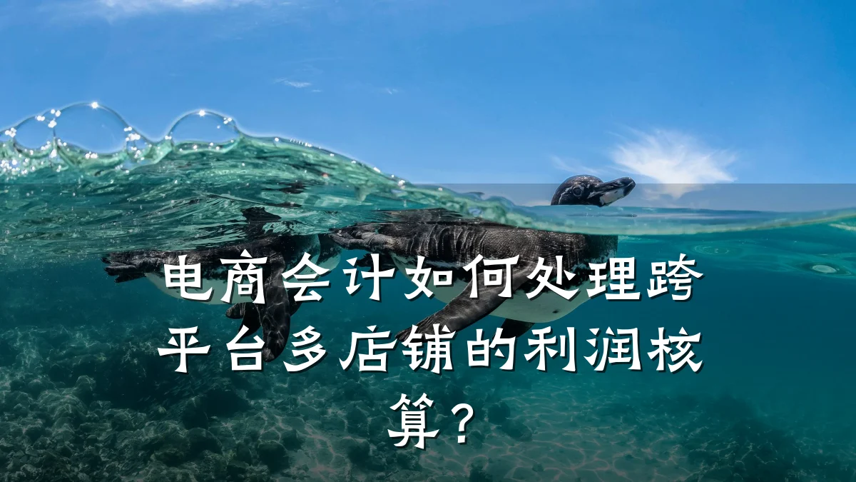 电商会计如何处理跨平台多店铺的利润核算?