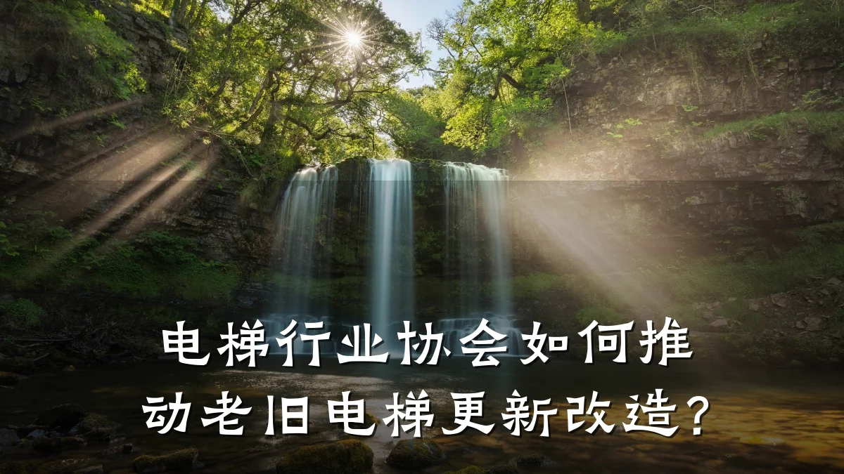 电梯行业协会如何推动老旧电梯更新改造?