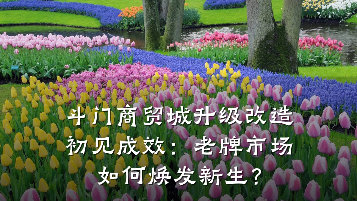 斗门商贸城升级改造初见成效:老牌市场如何焕发新生?