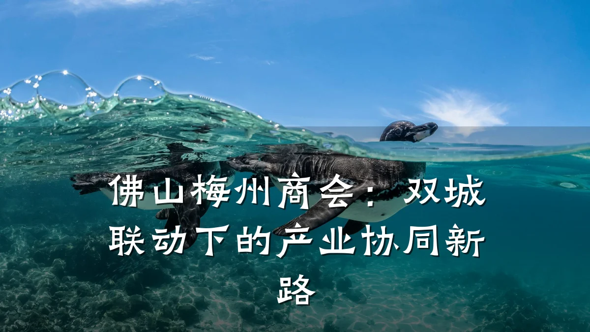 佛山梅州商会:双城联动下的产业协同新路
