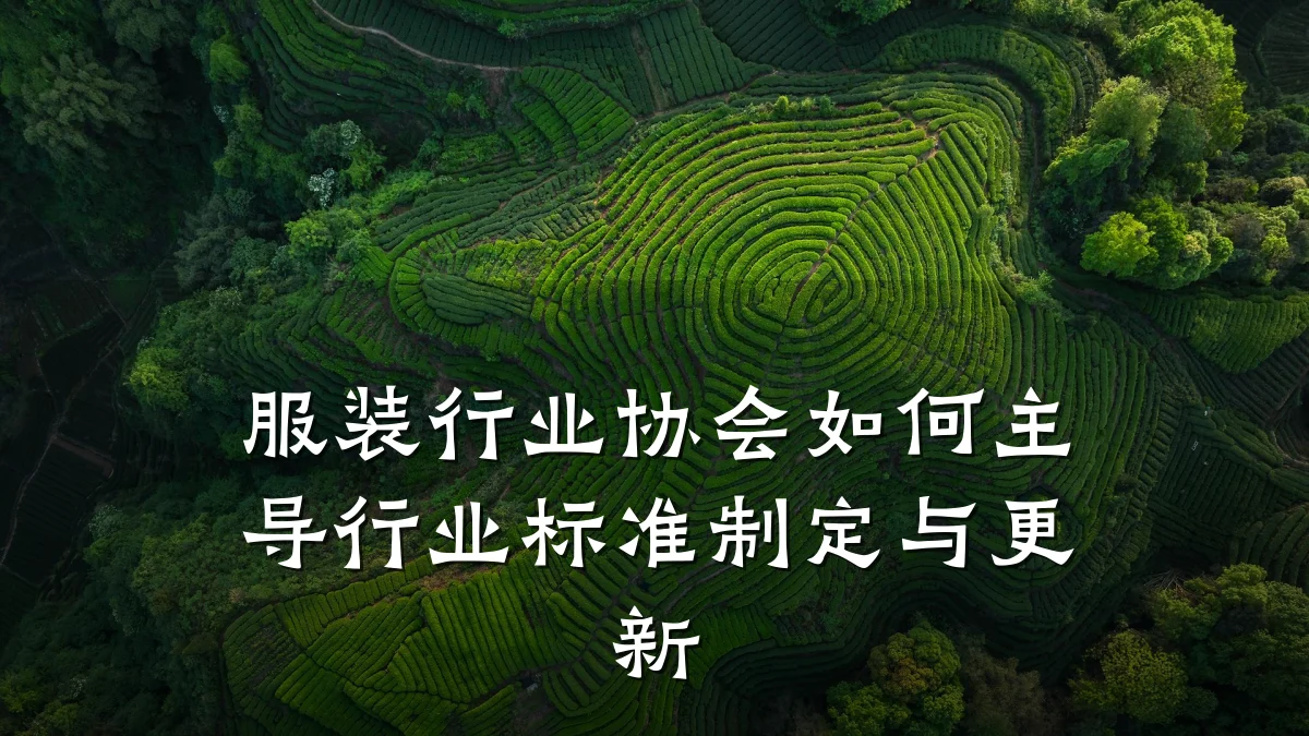 服装行业协会如何主导行业标准制定与更新