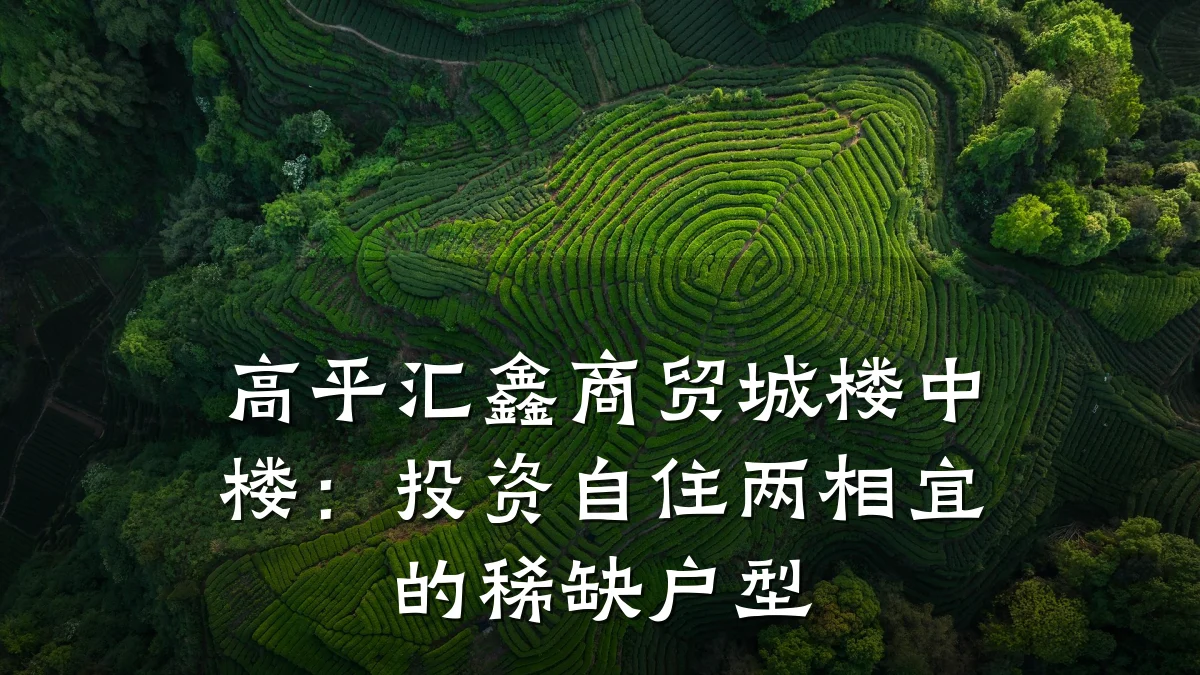 高平汇鑫商贸城楼中楼：投资自住两相宜的稀缺户型