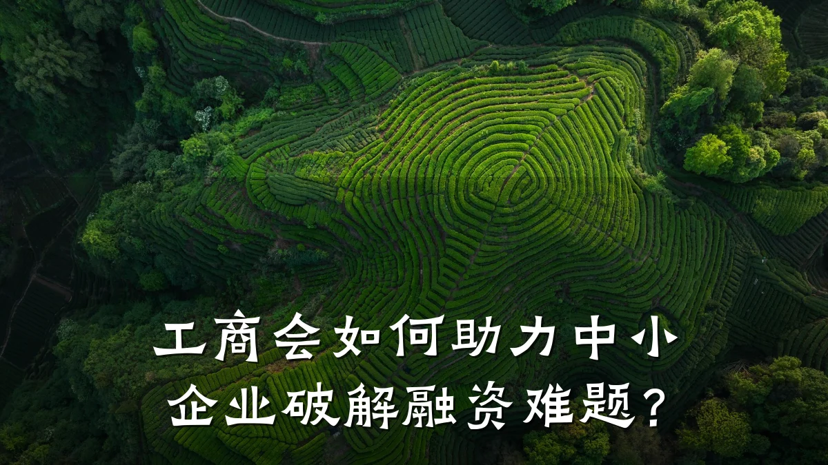 工商会如何助力中小企业破解融资难题?