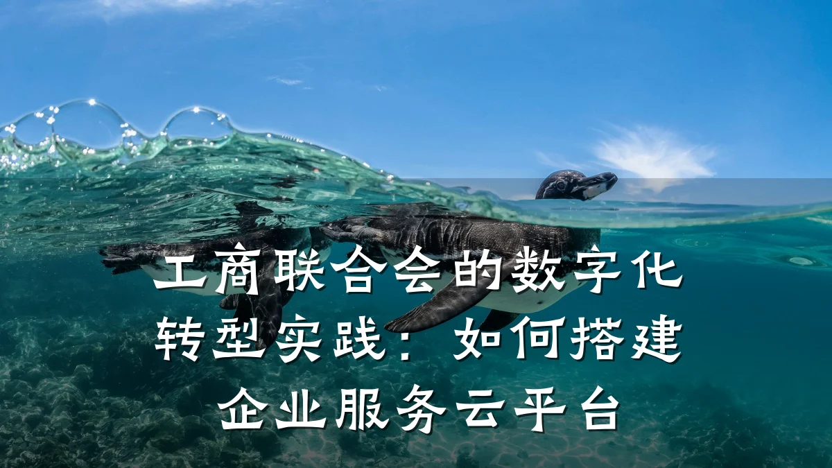 工商联合会的数字化转型实践:如何搭建企业服务云平台
