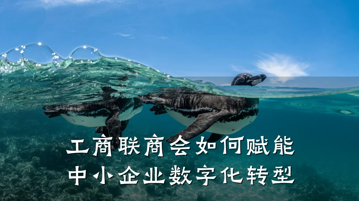 工商联商会如何赋能中小企业数字化转型