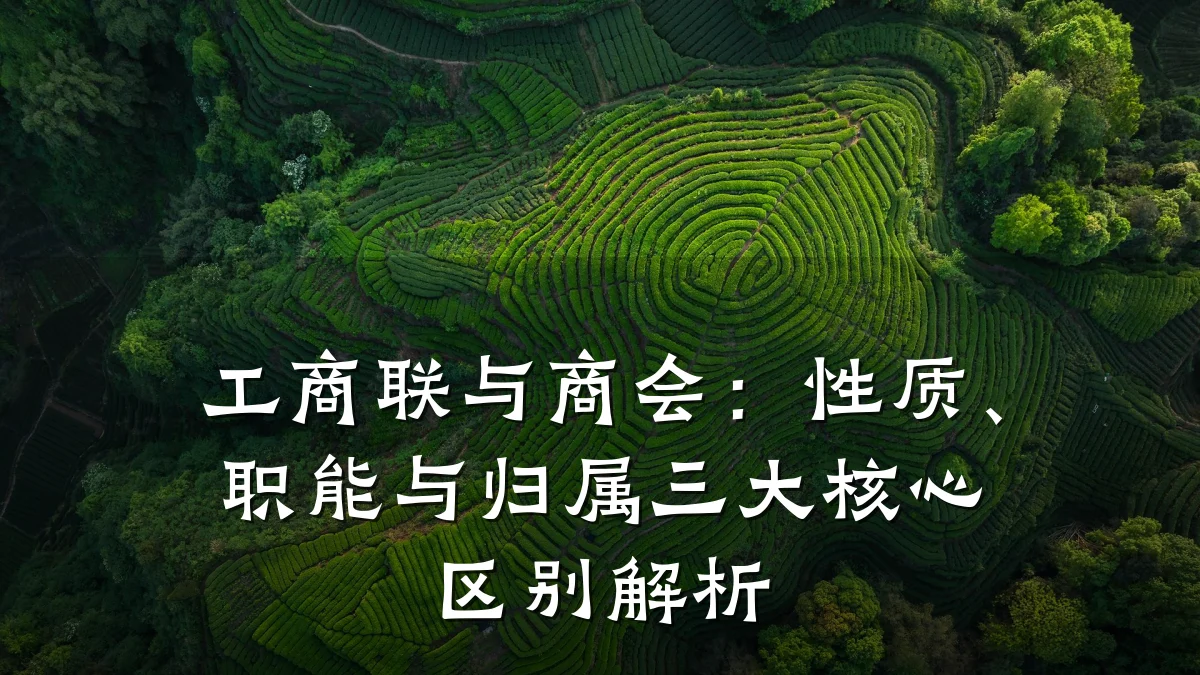 工商联与商会：性质、职能与归属三大核心区别解析