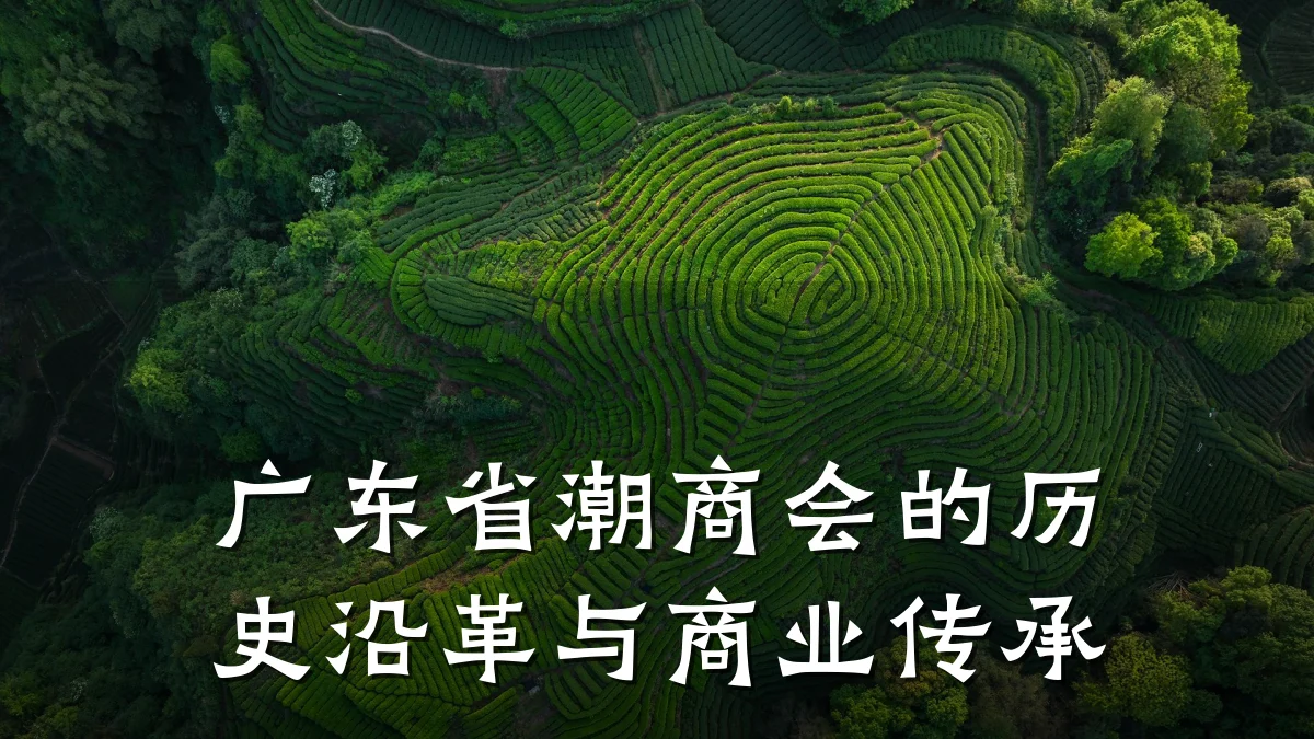 广东省潮商会的历史沿革与商业传承