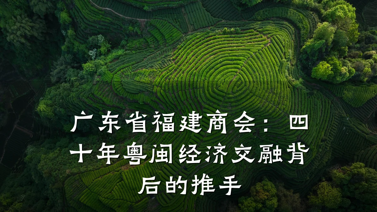 广东省福建商会：四十年粤闽经济交融背后的推手