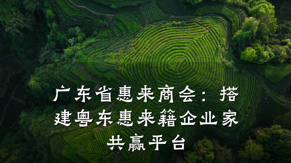 广东省惠来商会:搭建粤东惠来籍企业家共赢平台