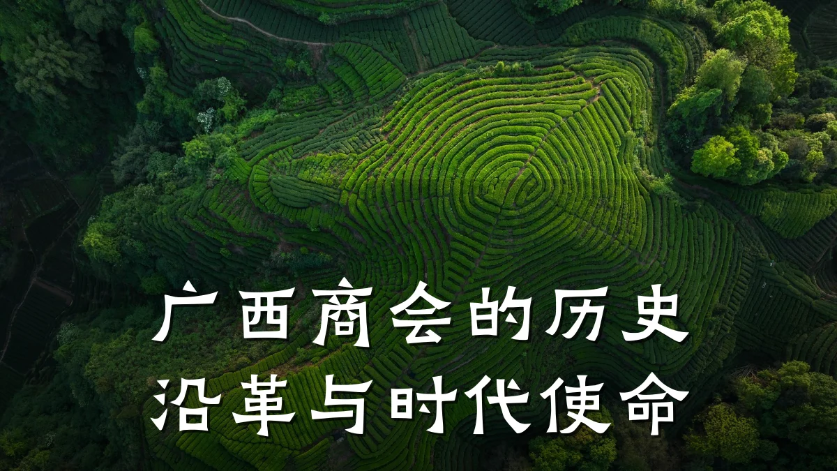 广西商会的历史沿革与时代使命