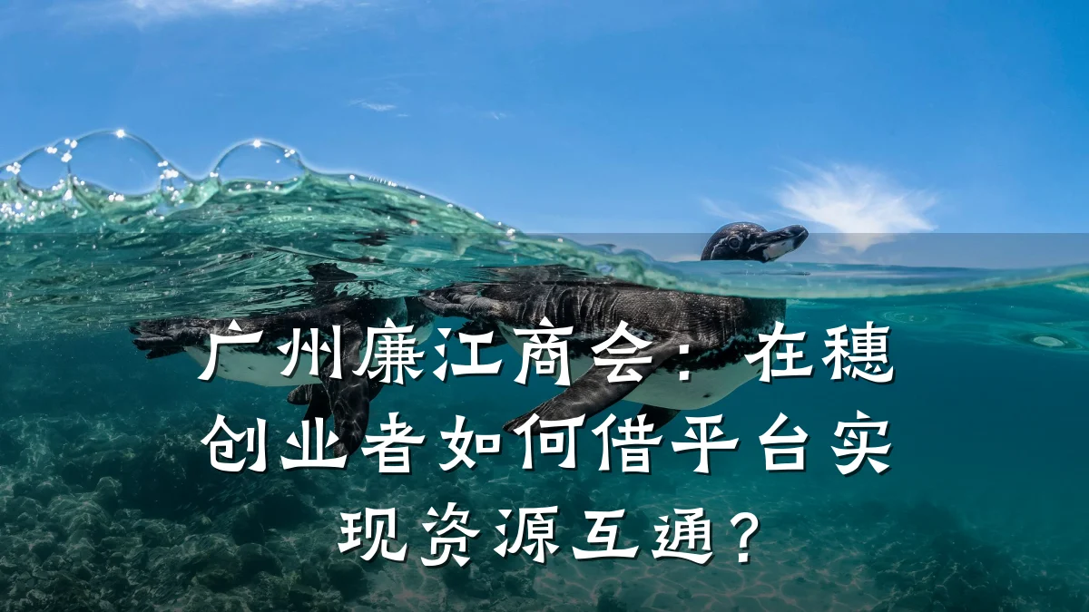 广州廉江商会:在穗创业者如何借平台实现资源互通?