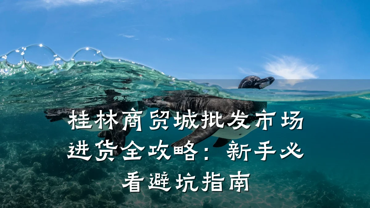 桂林商贸城批发市场进货全攻略:新手必看避坑指南
