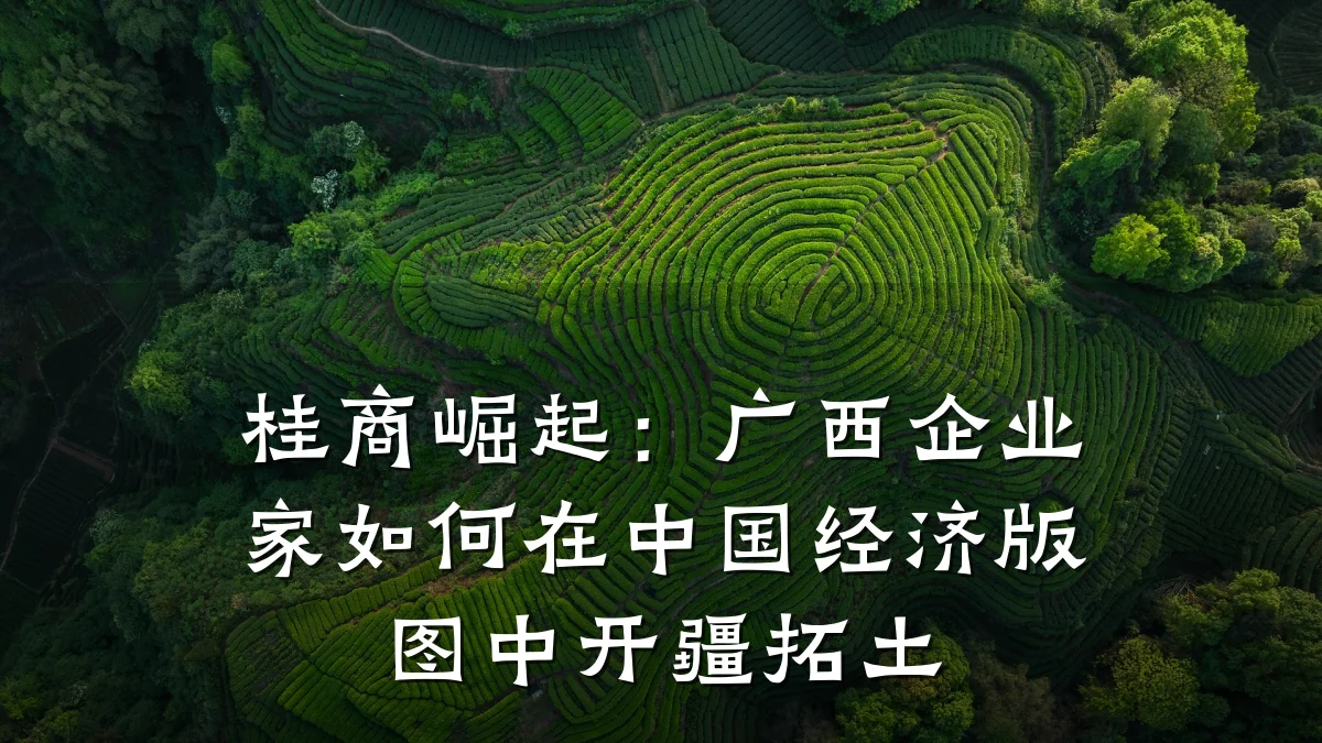 桂商崛起:广西企业家如何在中国经济版图中开疆拓土