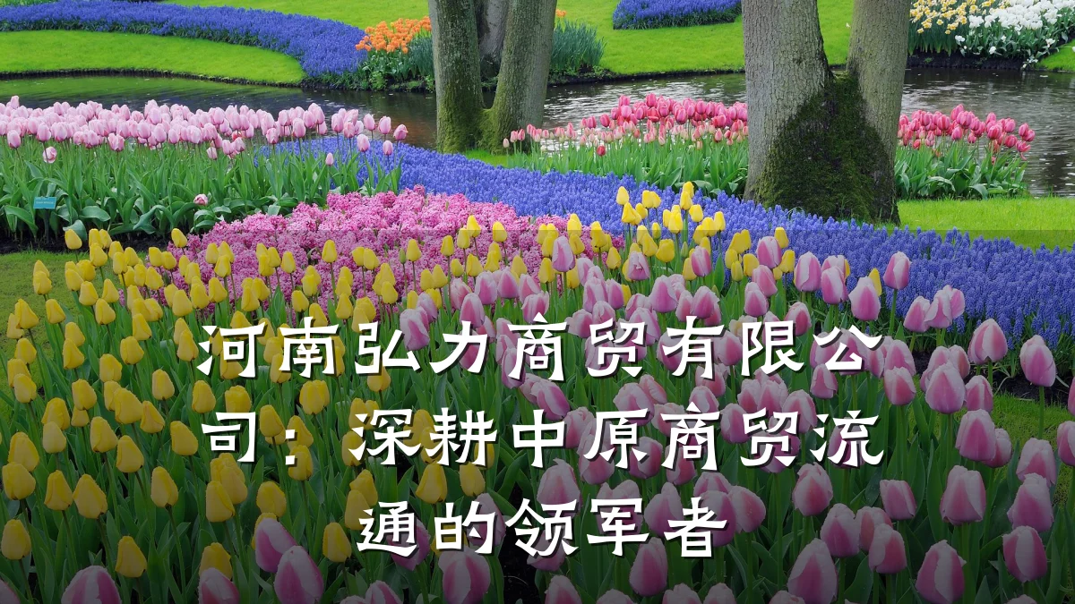 河南弘力商贸有限公司:深耕中原商贸流通的领军者