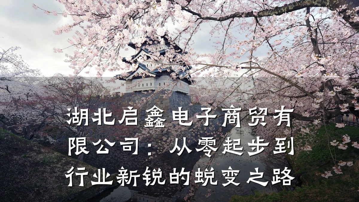 湖北启鑫电子商贸有限公司:从零起步到行业新锐的蜕变之路