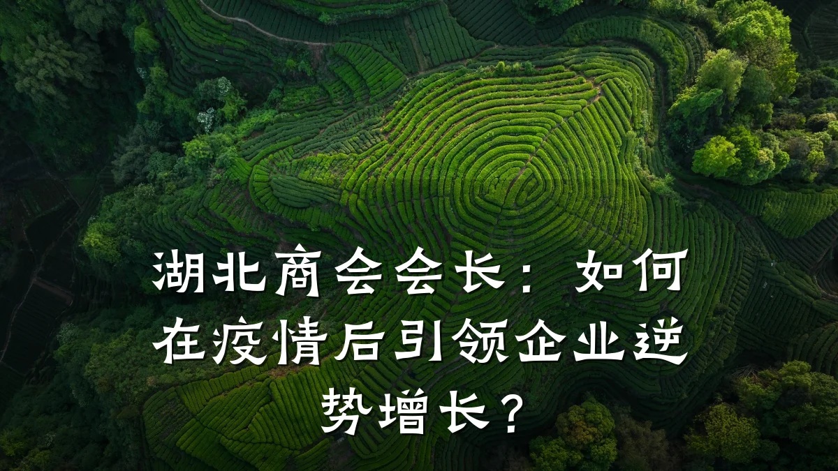 湖北商会会长:如何在疫情后引领企业逆势增长?