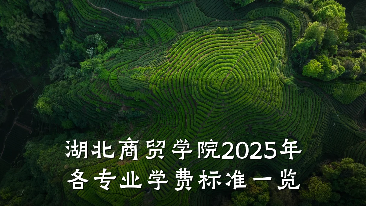 湖北商贸学院2025年各专业学费标准一览