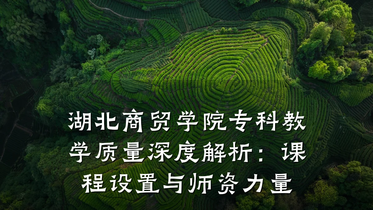 湖北商贸学院专科教学质量深度解析:课程设置与师资力量