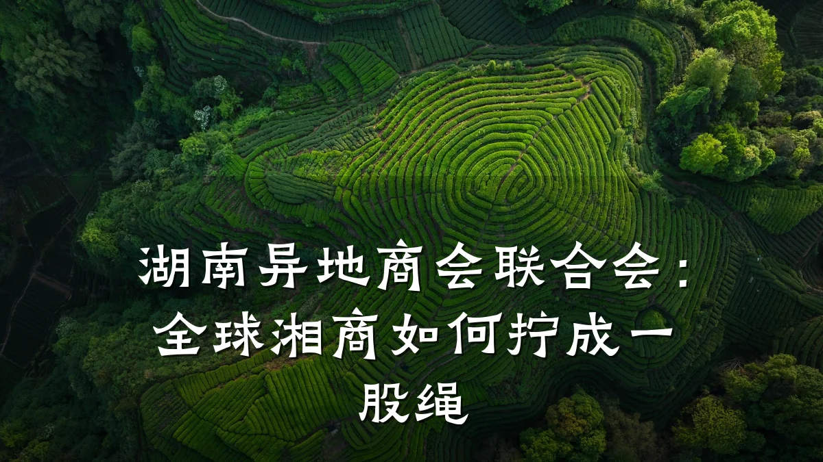 湖南异地商会联合会:全球湘商如何拧成一股绳