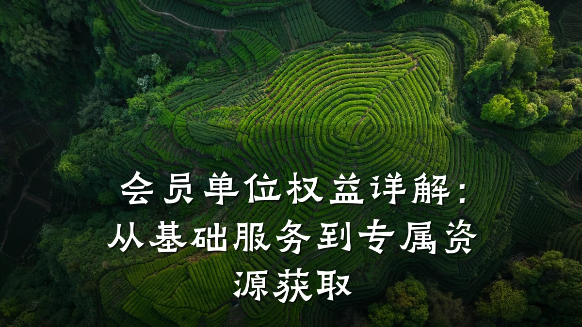会员单位权益详解：从基础服务到专属资源获取