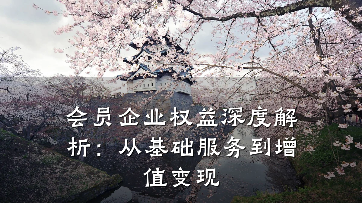 会员企业权益深度解析：从基础服务到增值变现