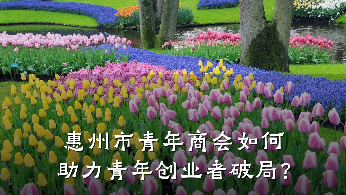 惠州市青年商会如何助力青年创业者破局?