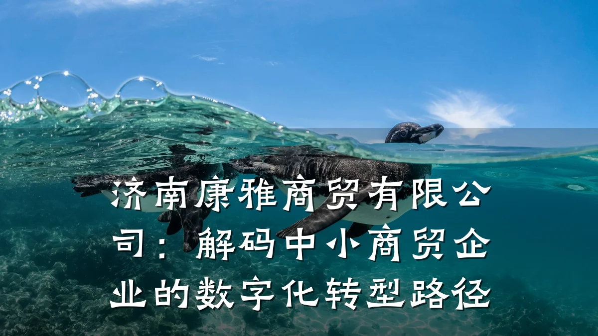 济南康雅商贸有限公司：解码中小商贸企业的数字化转型路径