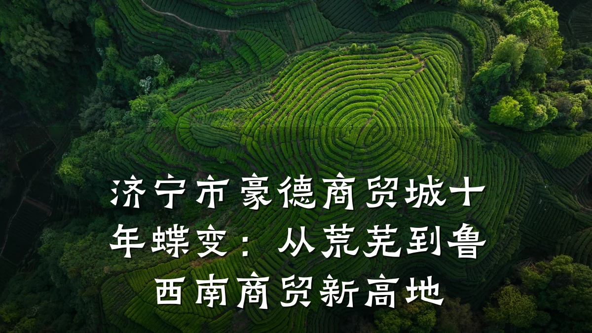 济宁市豪德商贸城十年蝶变：从荒芜到鲁西南商贸新高地