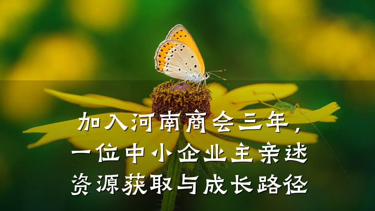 加入河南商会三年，一位中小企业主亲述资源获取与成长路径