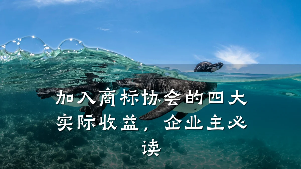 加入商标协会的四大实际收益,企业主必读