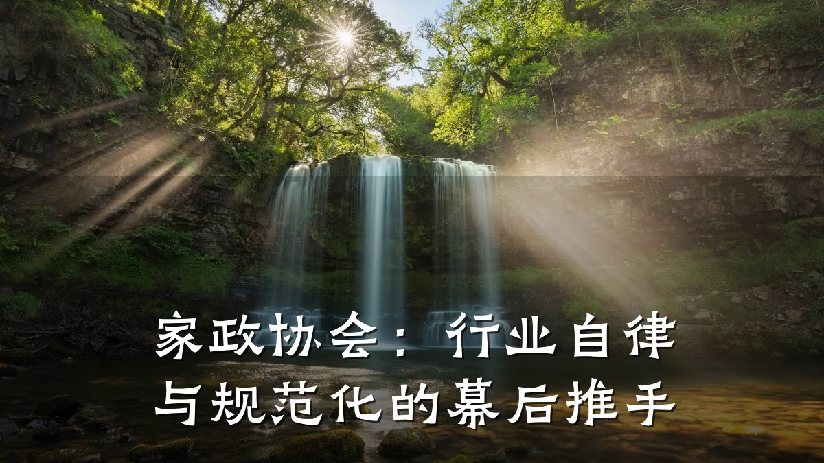 家政协会:行业自律与规范化的幕后推手