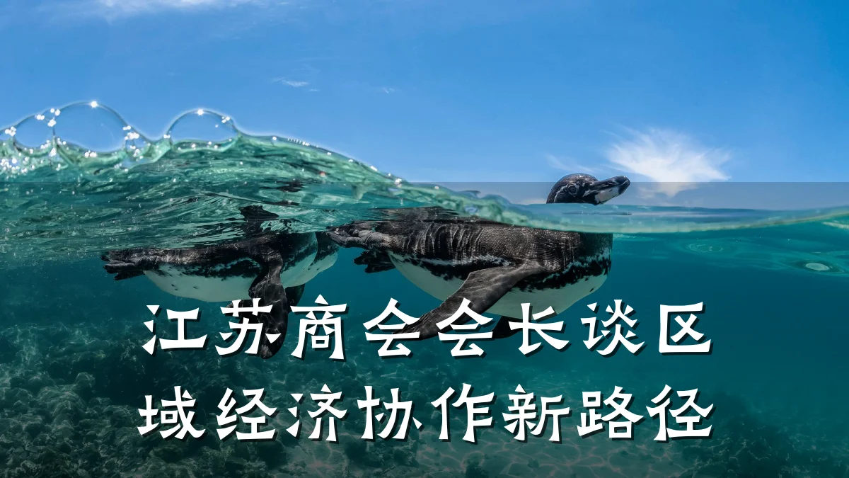 江苏商会会长谈区域经济协作新路径