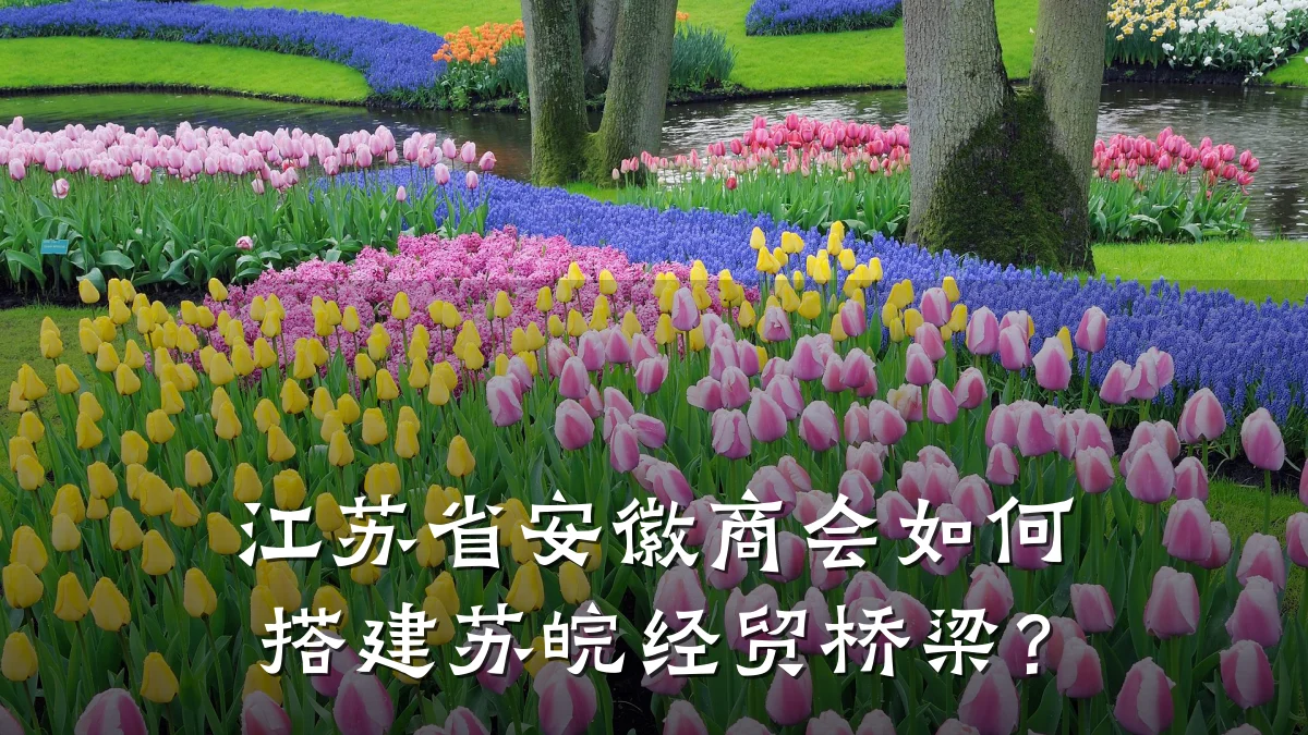 江苏省安徽商会如何搭建苏皖经贸桥梁？