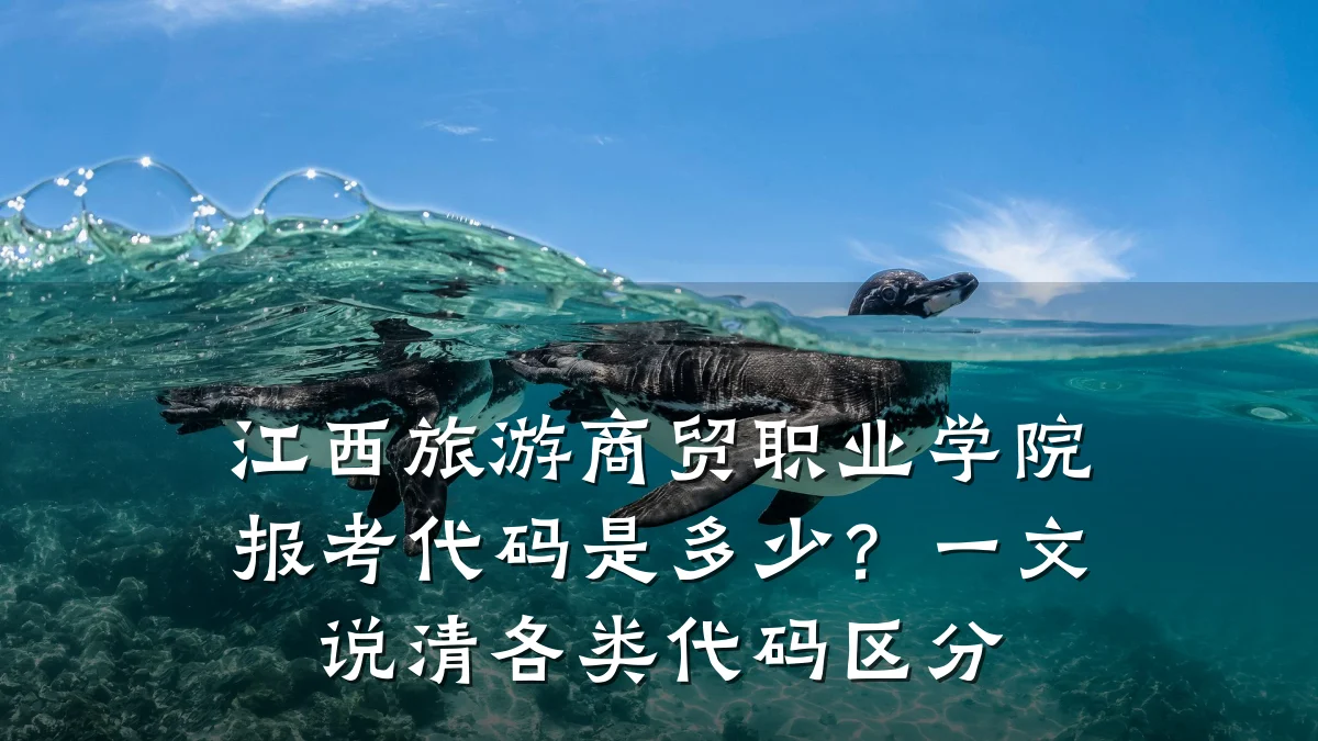 江西旅游商贸职业学院报考代码是多少?一文说清各类代码区分