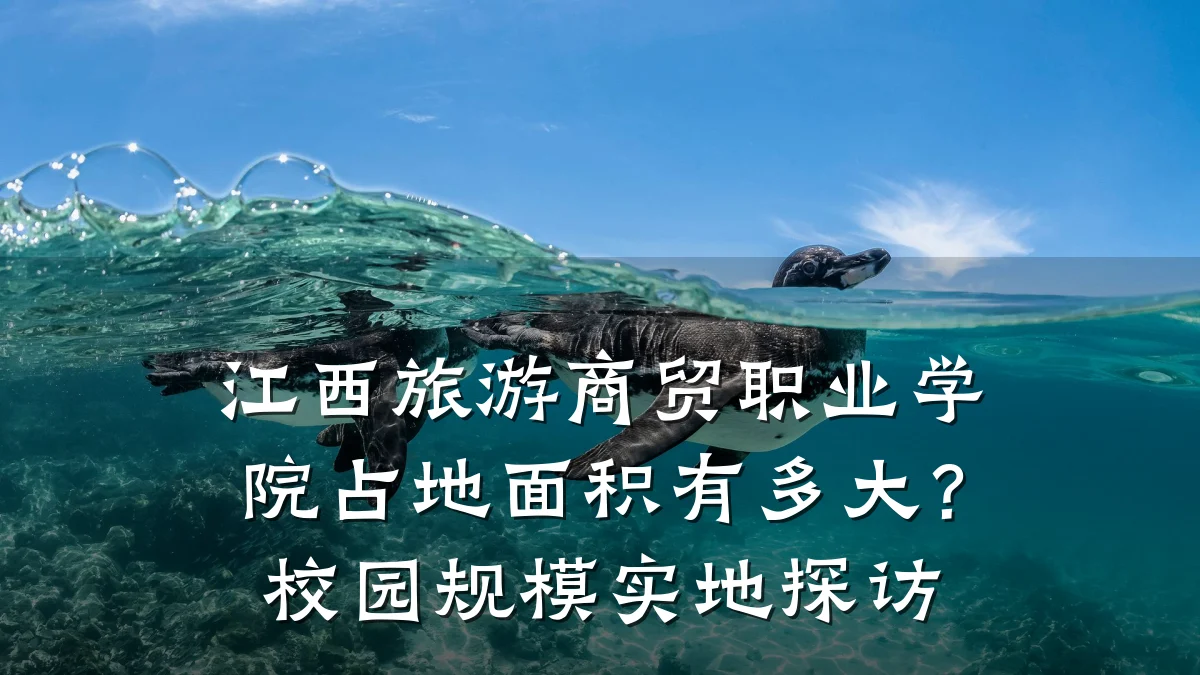 江西旅游商贸职业学院占地面积有多大?校园规模实地探访