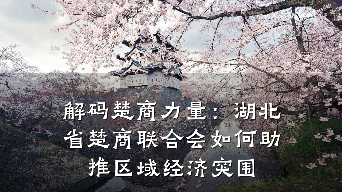 解码楚商力量：湖北省楚商联合会如何助推区域经济突围
