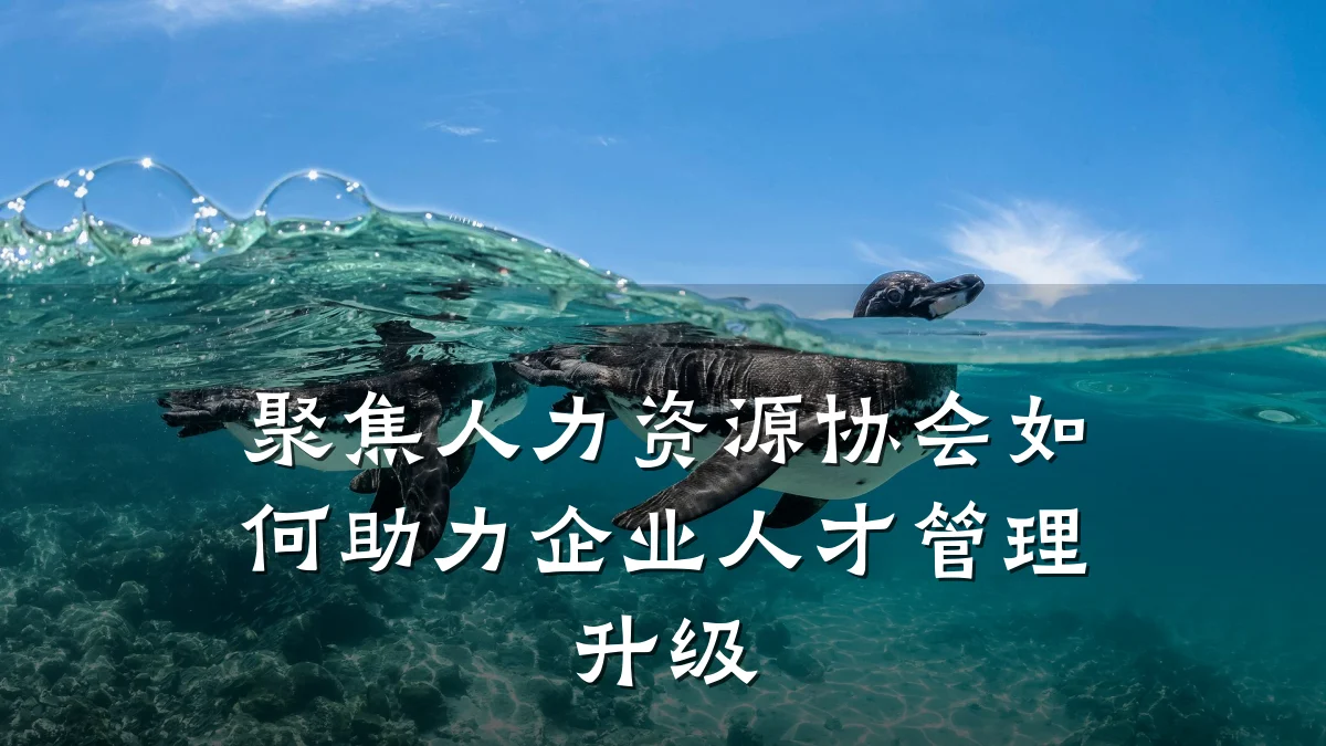 聚焦人力资源协会如何助力企业人才管理升级