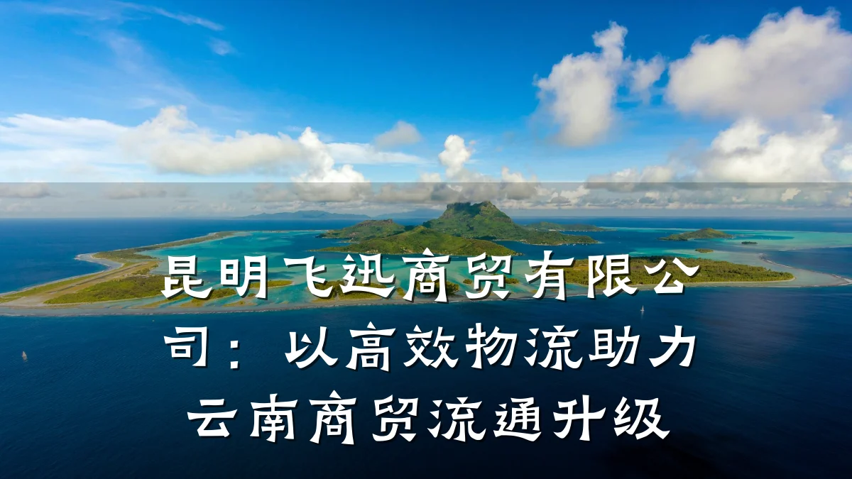 昆明飞迅商贸有限公司:以高效物流助力云南商贸流通升级