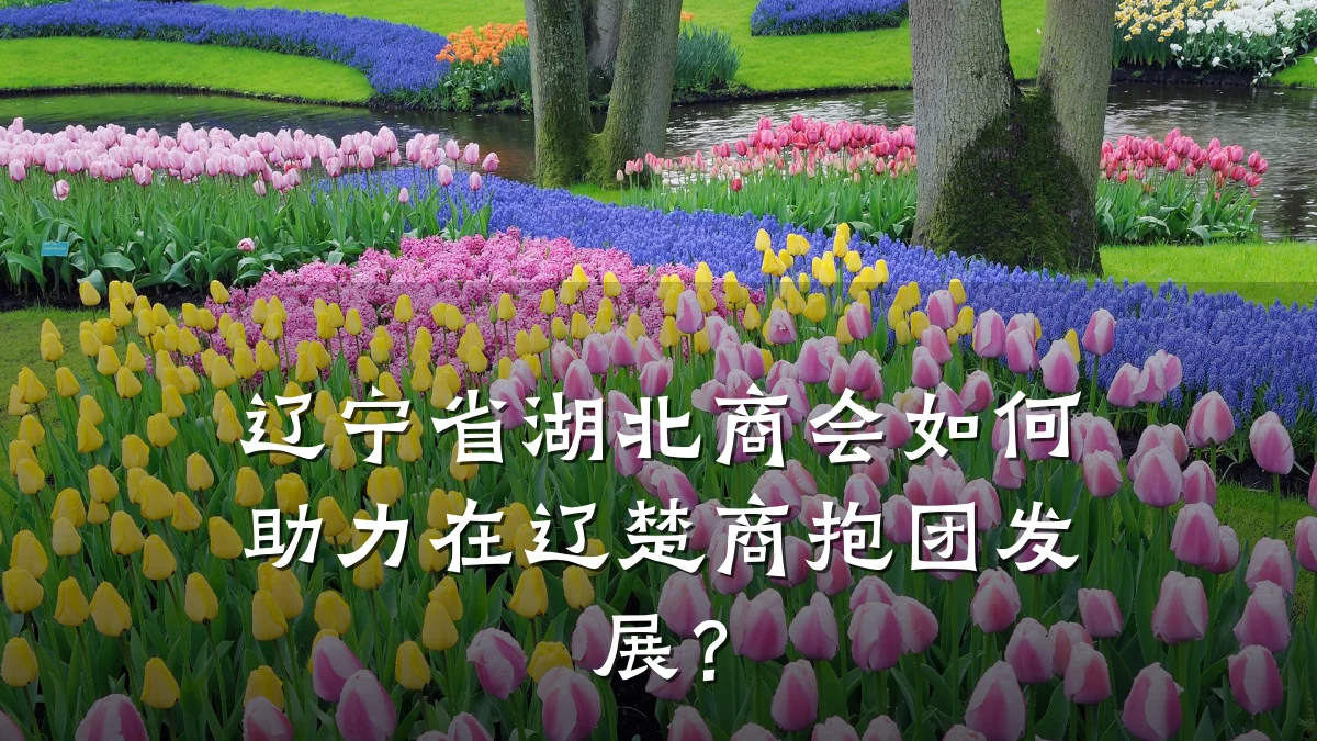 辽宁省湖北商会如何助力在辽楚商抱团发展?