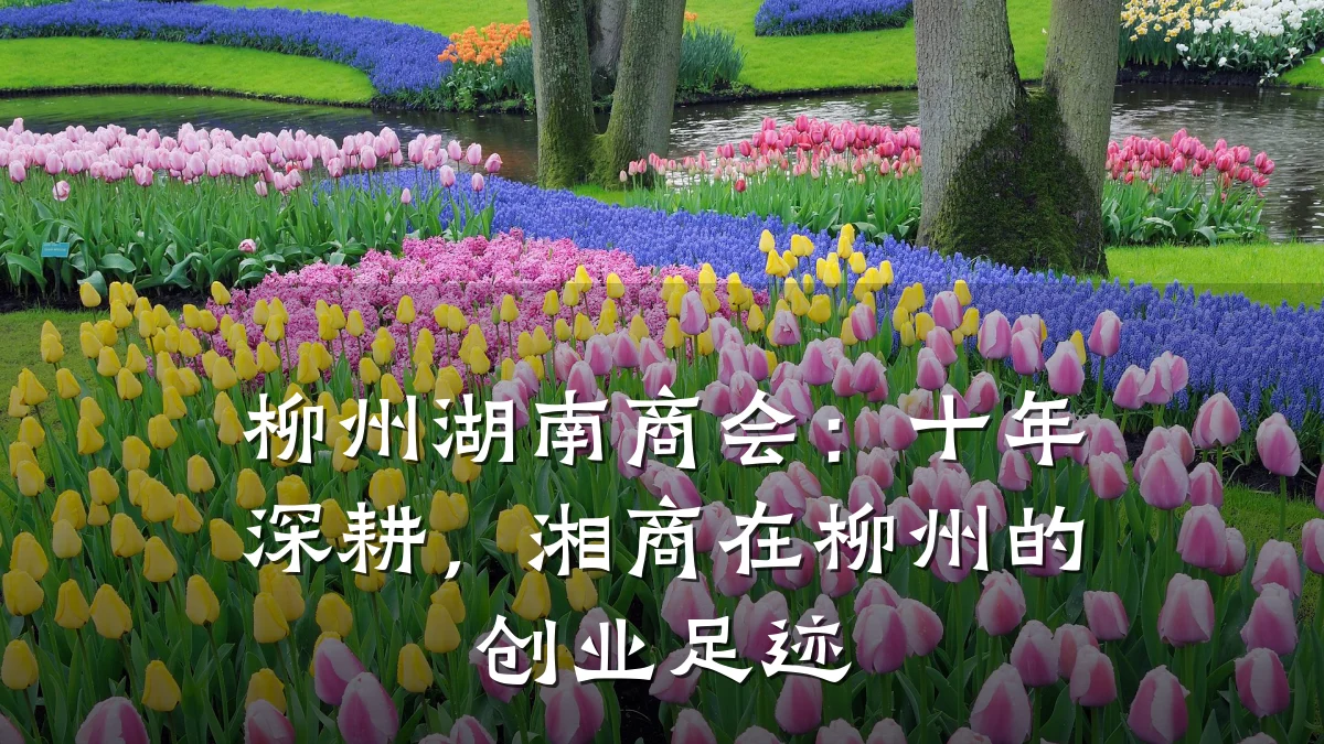 柳州湖南商会:十年深耕,湘商在柳州的创业足迹