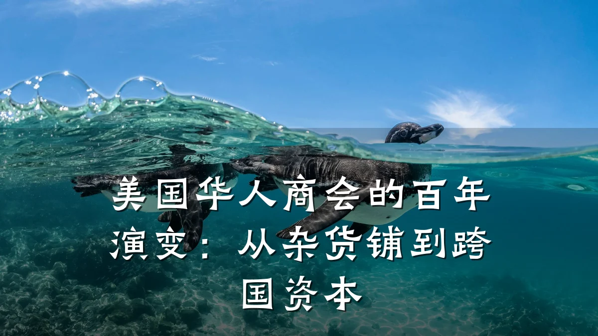 美国华人商会的百年演变:从杂货铺到跨国资本